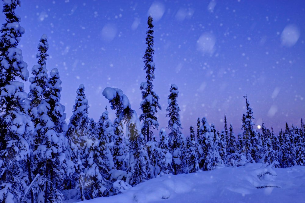 Crisp wintry sunset in Fairbanks, Alaska